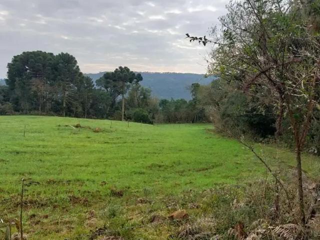 Sítio e chácara venda em Região Geográfica Imediata de Lages, Urubici