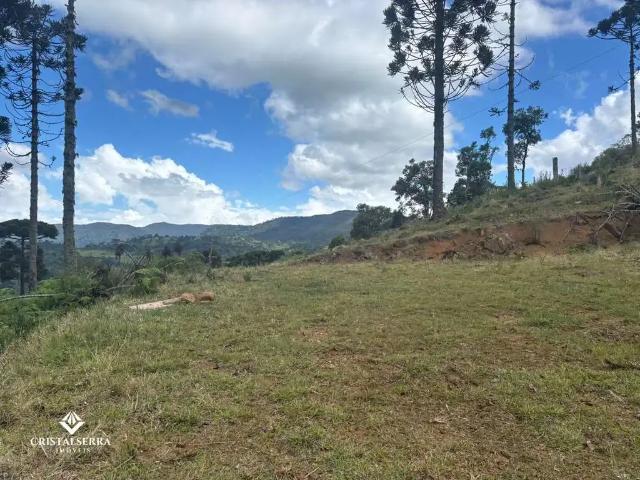 Sítio e chácara venda em Região Geográfica Imediata de Videira, Fraiburgo