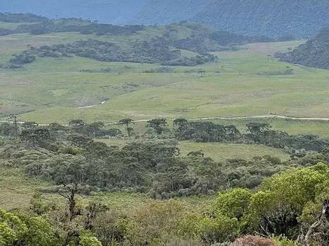 Sítio e chácara venda em Região Geográfica Imediata de Lages, Urubici