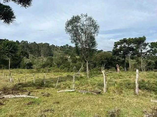 Sítio e chácara venda em Região Geográfica Imediata de Lages, Urubici