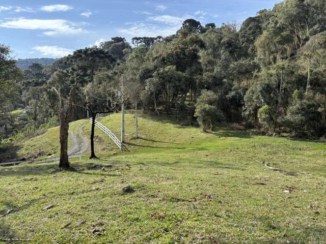 Sítio e chácara venda em Urubici, Região Geográfica Intermediária de Lages