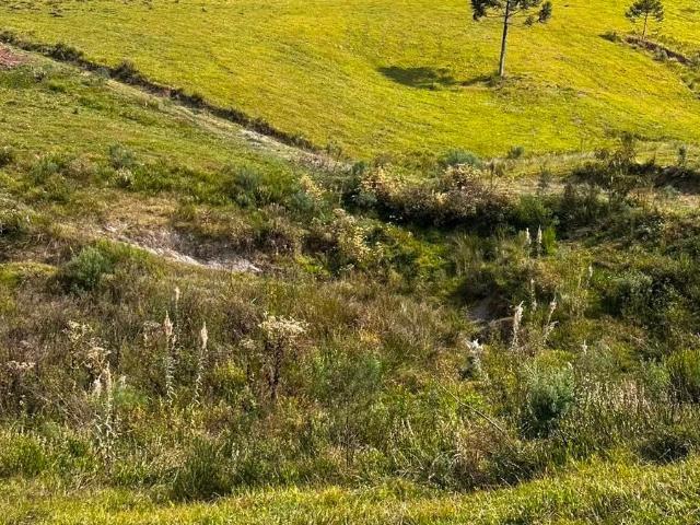 Sítio e chácara venda em Urubici, Região Geográfica Intermediária de Lages