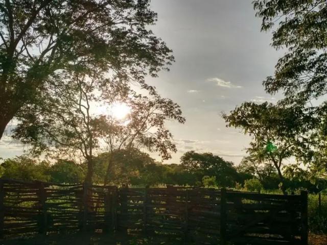 Sítio e chácara venda em Região Geográfica Imediata de Unaí, Urucuia