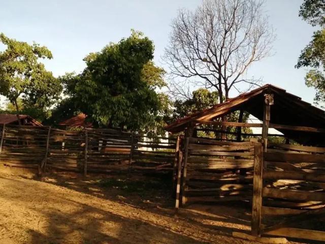 Sítio e chácara venda em Região Geográfica Imediata de Unaí, Urucuia