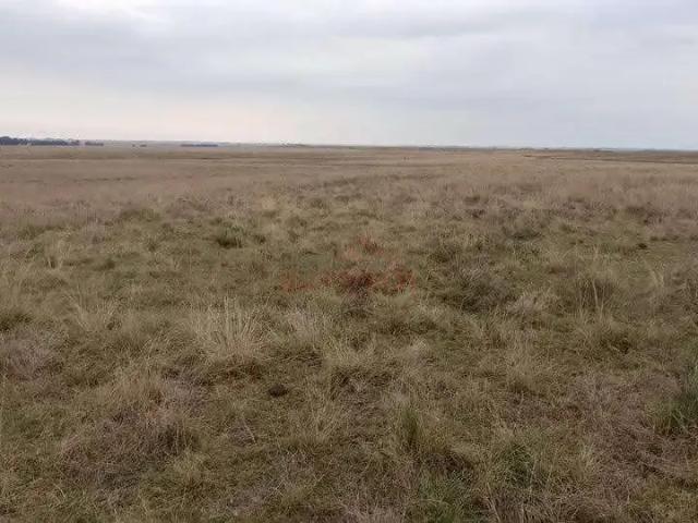 Sítio e chácara venda em Região Geográfica Imediata de Uruguaiana, Uruguaiana