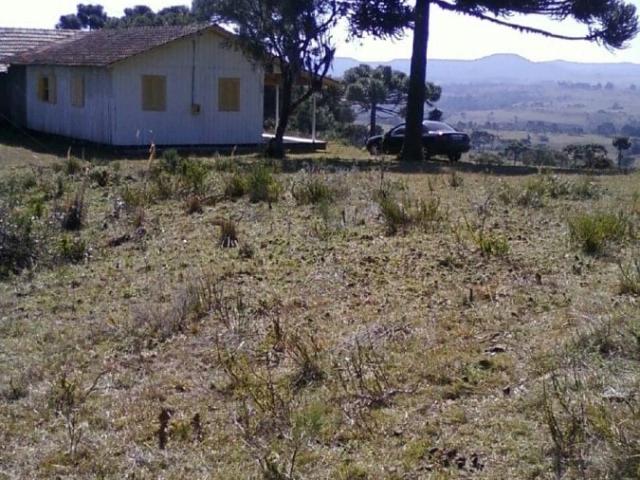 Sítio e chácara venda em Urupema, Região Geográfica Intermediária de Lages