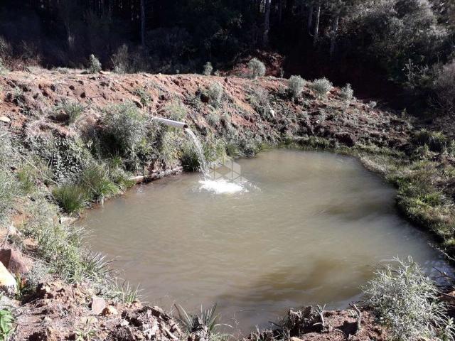 Sítio e chácara venda em Região Geográfica Imediata de Lages, Urupema