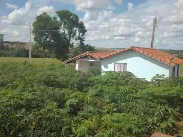 Sítio e chácara venda em Região Imediata de São José do Rio Preto, Região Metropolitana de São José do Rio Preto