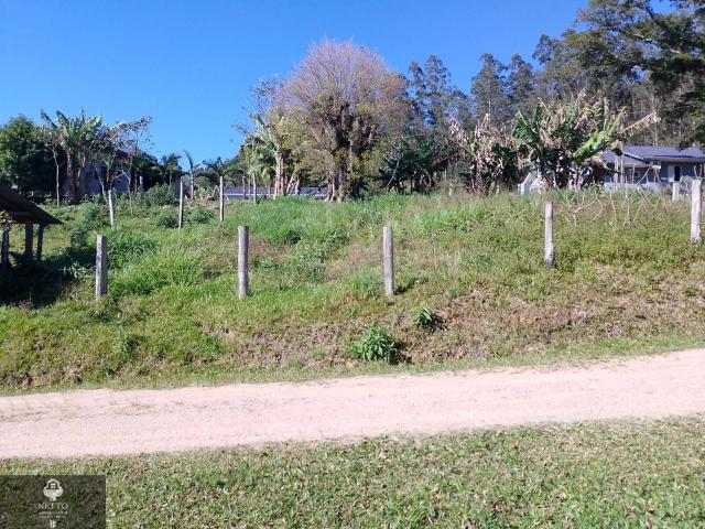 Sítio e chácara venda em Urussanga, Região Geográfica Intermediária de Criciúma