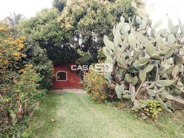 Sítio e chácara venda em Residencial São Luiz, Valinhos