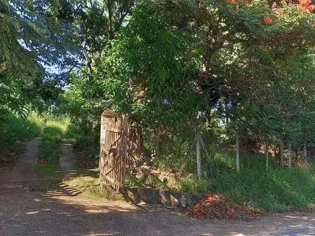 Sítio e chácara venda em Região Imediata de Campinas, Região Metropolitana de Campinas
