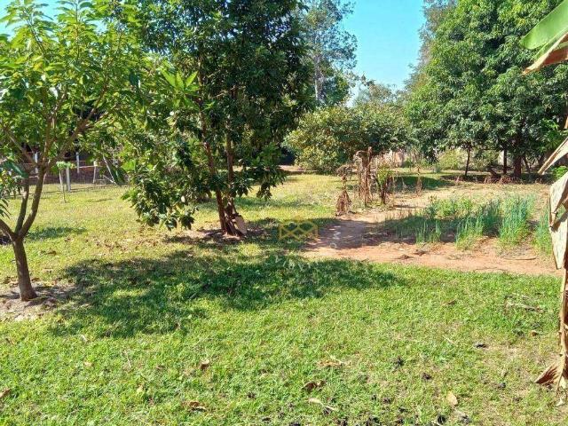 Sítio e chácara venda em Região Imediata de Campinas, Região Metropolitana de Campinas