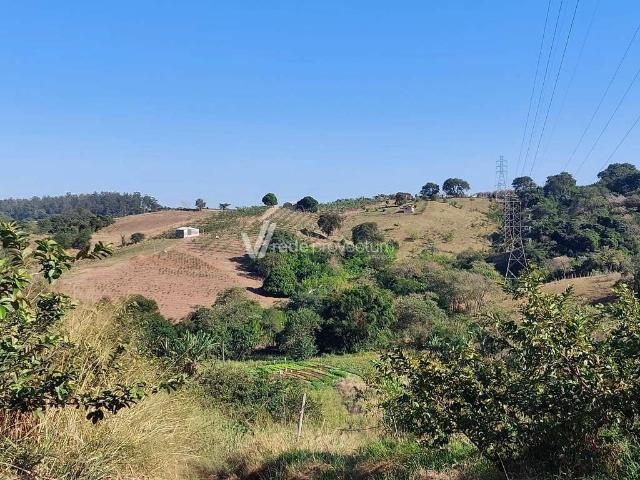 Sítio e chácara venda em Vale Verde, Valinhos