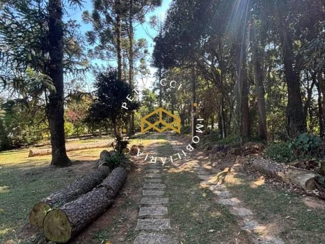 Sítio e chácara venda em Valinhos