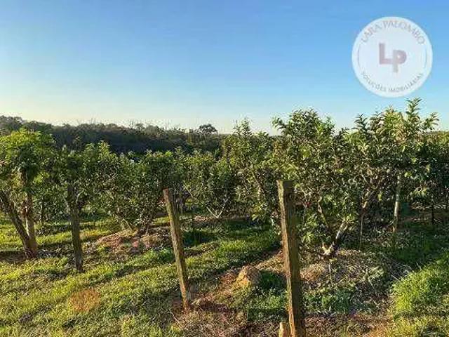 Sítio e chácara venda em Região Imediata de Campinas, Região Metropolitana de Campinas