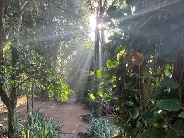 Sítio e chácara venda em Região Imediata de Campinas, Região Metropolitana de Campinas