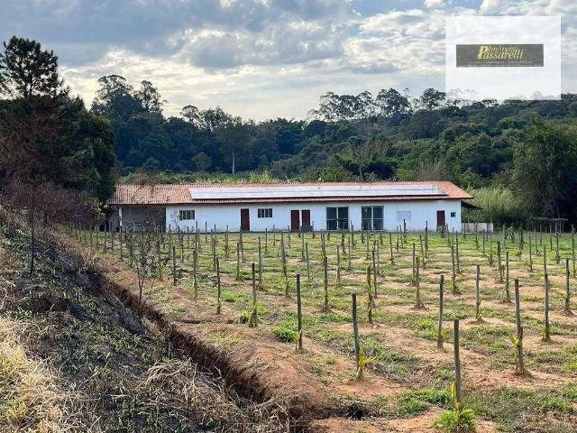 Sitio venda em Valinhos, Jardim São Marcos