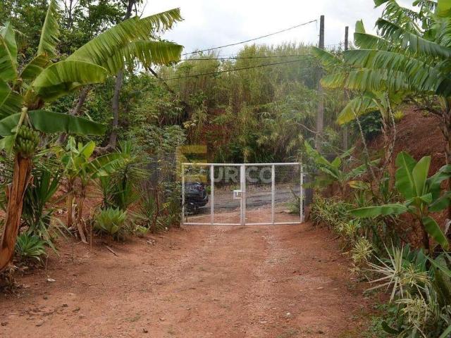 Sitio venda em Valinhos, Jardim Ribeiro