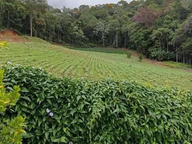 Sítio e chácara venda em Região Geográfica Imediata de Cachoeiro de Itapemirim, Vargem Alta