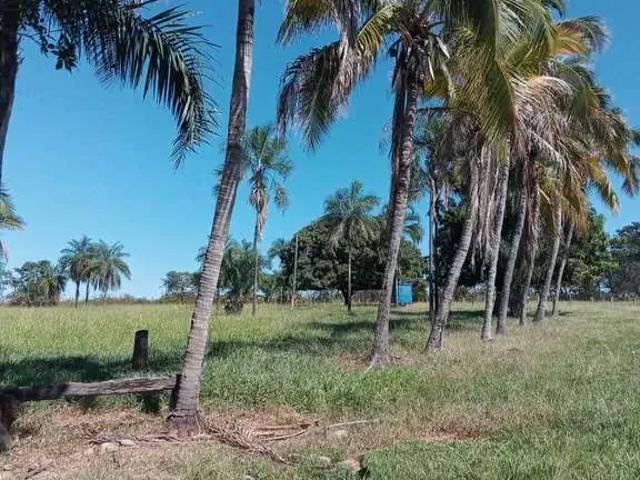 Sítio e chácara venda em Região Geográfica Imediata de Goiânia, Varjão