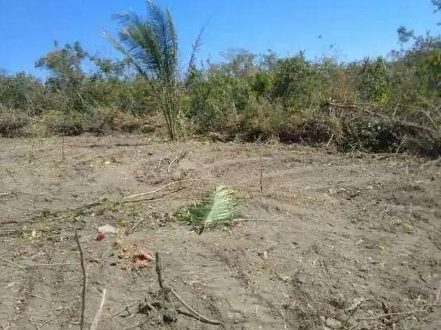 Sítio e chácara venda em Região Geográfica Imediata de Cuiabá, Região Metropolitana do Vale do Rio Cuiabá