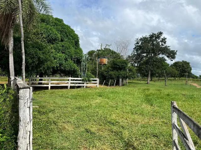 Sítio e chácara venda em Região Geográfica Imediata de Cuiabá, Região Metropolitana do Vale do Rio Cuiabá