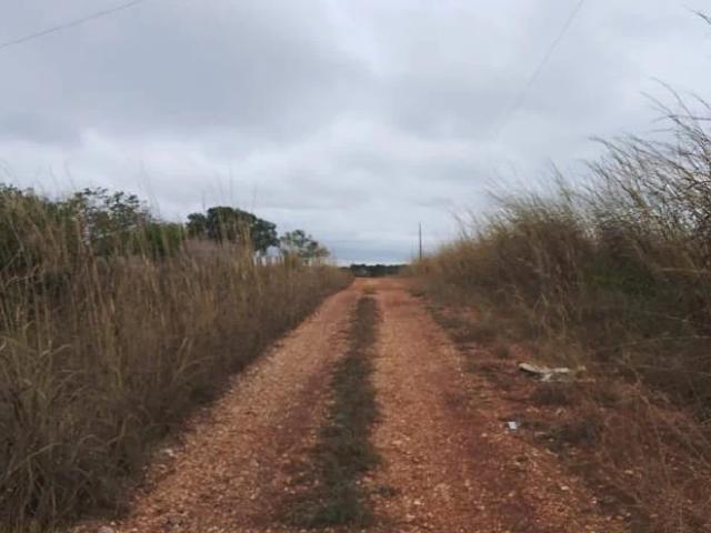 Sítio e chácara venda em Loteamento Jardim Guanabara, Várzea Grande