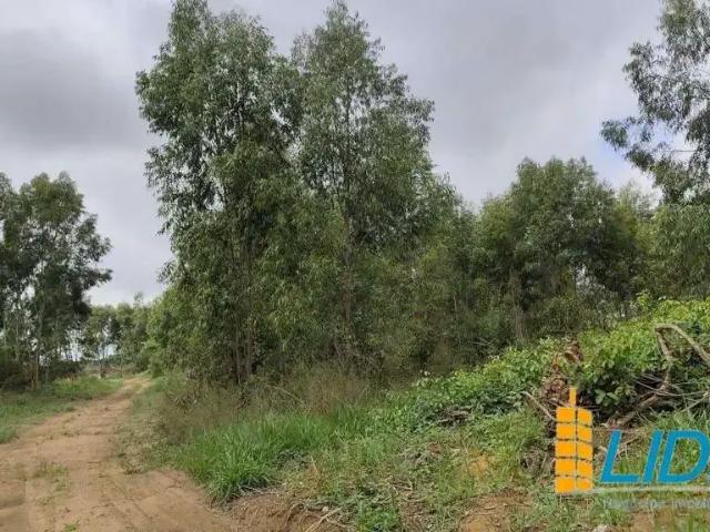 Sítio e chácara venda em Região Geográfica Imediata de Patos de Minas, Vazante