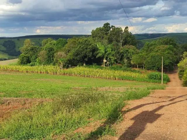 Sítio e chácara venda em Região Geográfica Imediata de Cascavel, Vera Cruz do Oeste