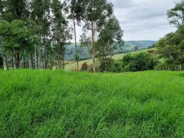 Sítio e chácara venda em Região Geográfica Imediata de Cascavel, Vera Cruz do Oeste