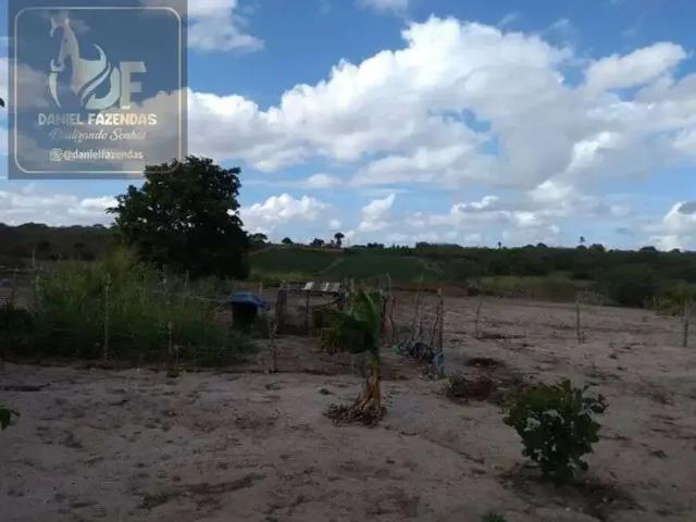 Sítio e chácara venda em Região Geográfica Imediata de Natal, Região Nordeste
