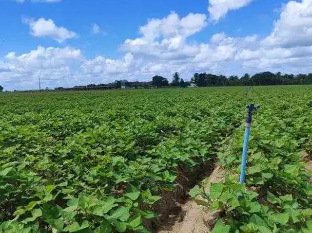 Sítio e chácara venda em Região Geográfica Imediata de Natal, Região Nordeste