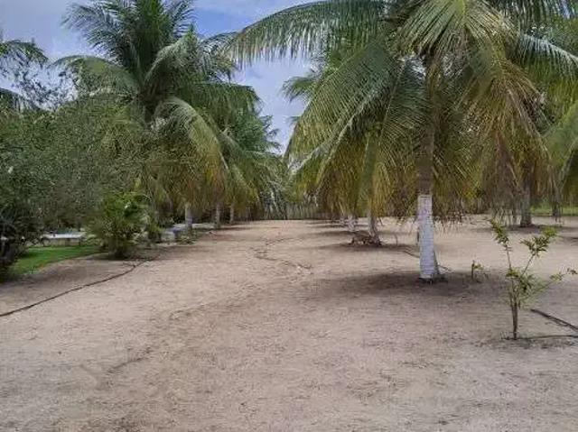 Sítio e chácara venda em Região Geográfica Imediata de Natal, Região Nordeste