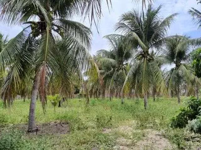 Sítio e chácara venda em Região Geográfica Imediata de Natal, Região Nordeste