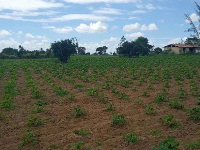 Sítio e chácara venda em Centro, Vera Cruz