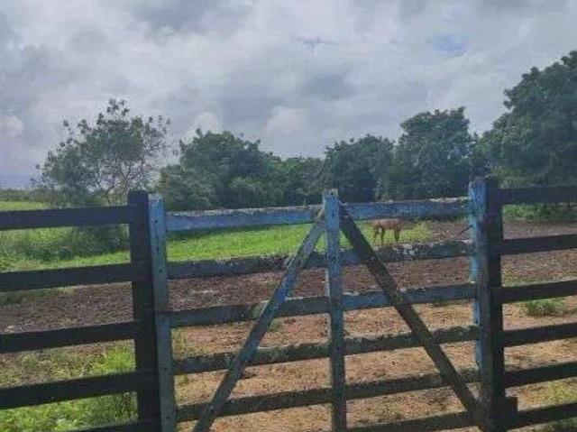 Sítio e chácara venda em Centro, Vera Cruz