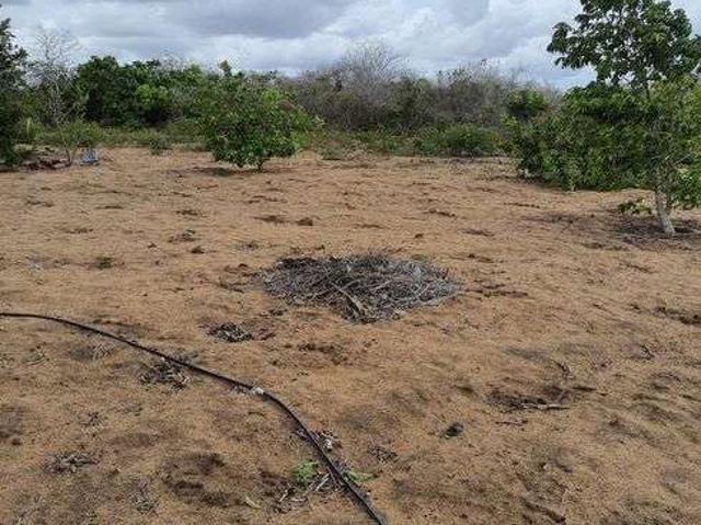 Sítio e chácara venda em Centro, Vera Cruz