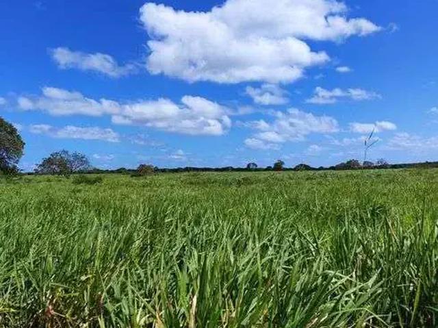 Sítio e chácara venda em Região Geográfica Imediata de Natal, Região Nordeste