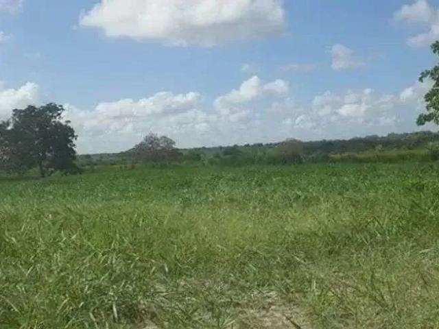 Sítio e chácara venda em Região Geográfica Imediata de Natal, Região Nordeste