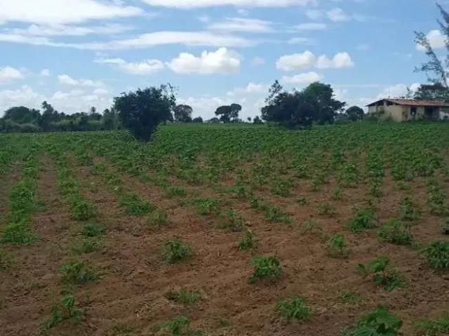 Sítio e chácara venda em Região Geográfica Imediata de Natal, Região Nordeste