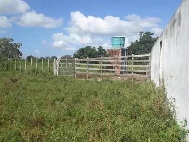 Sítio e chácara venda em Região Geográfica Imediata de Natal, Região Nordeste