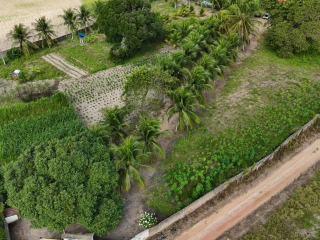 Sítio e chácara venda em Região Geográfica Imediata de Natal, Região Nordeste