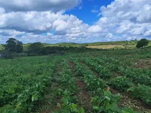 Sítio e chácara venda em Região Geográfica Imediata de Nazaré – Maragogipe, Região Metropolitana de Salvador