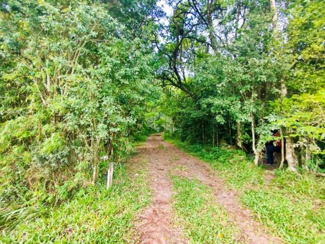 Sítio e chácara venda em Vera Cruz