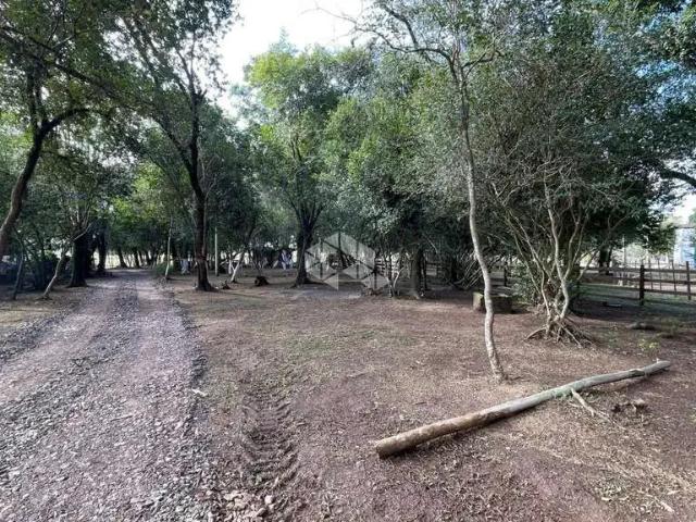 Sítio e chácara venda em Região Geográfica Imediata de Santa Cruz do Sul, Vera Cruz