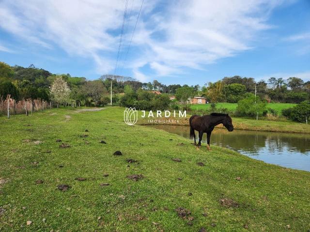 Sítio e chácara venda em Vera Cruz