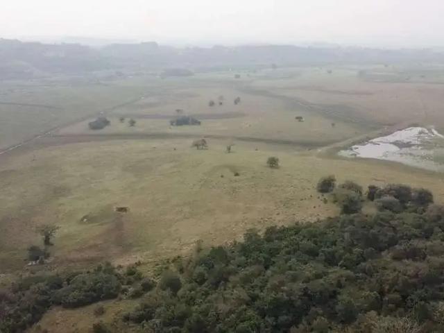 Sítio e chácara venda em Região Geográfica Imediata do Distrito Federal, Região Integrada de Desenvolvimento do Distrito Federal e Entorno