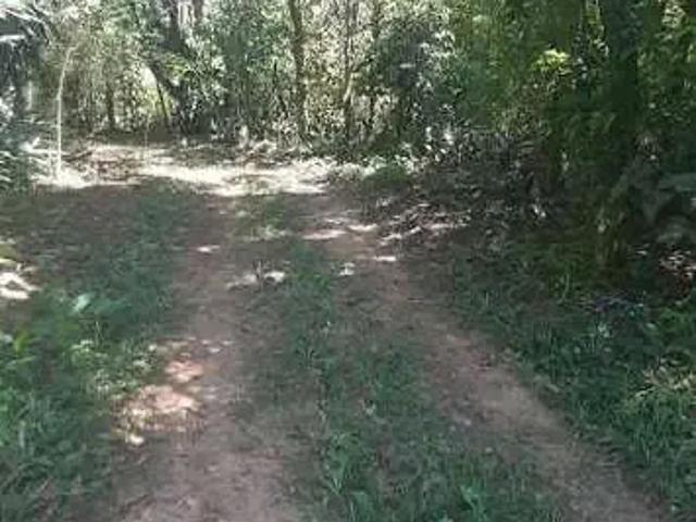 Sítio e chácara venda em El Rei, Viamão