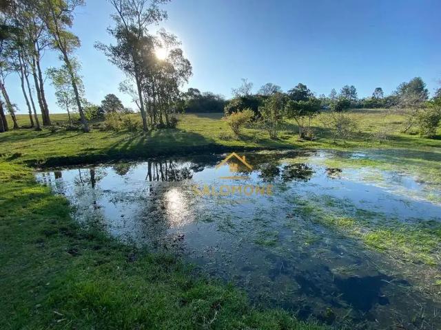 Sítio e chácara venda em Região Geográfica Imediata de Porto Alegre, Região Metropolitana de Porto Alegre
