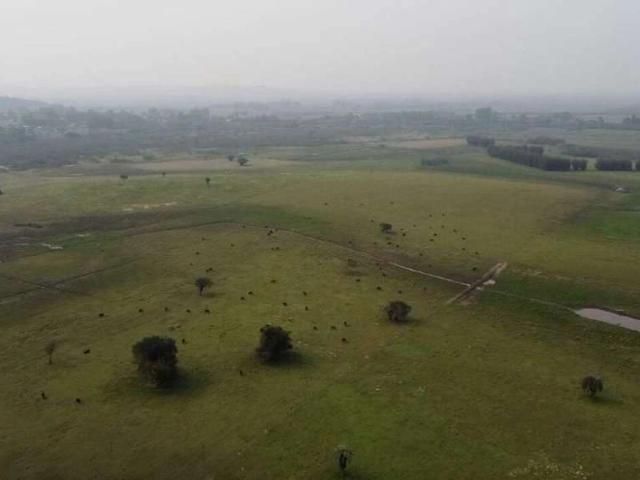 Sítio e chácara venda em Águas Claras, Região Geográfica Intermediária do Distrito Federal